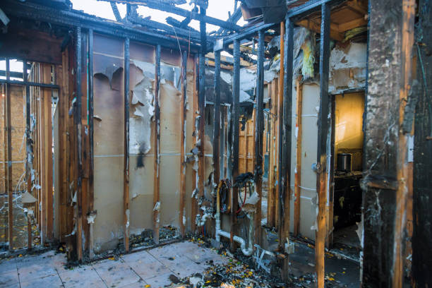 Professional Fire Damage Assessment technician working in Logan, NM